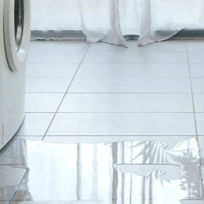 Appliance Leak Cleanup in Rogers, MN