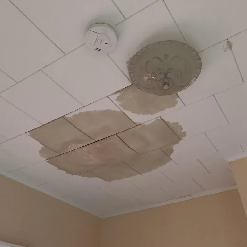 Ceiling Water Damage Repair in Rogers, MN