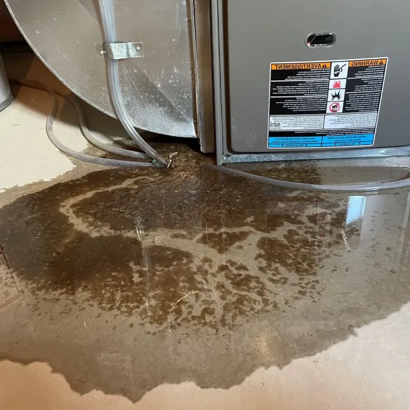 Pipe Burst and Leak Restoration in Rogers, MN